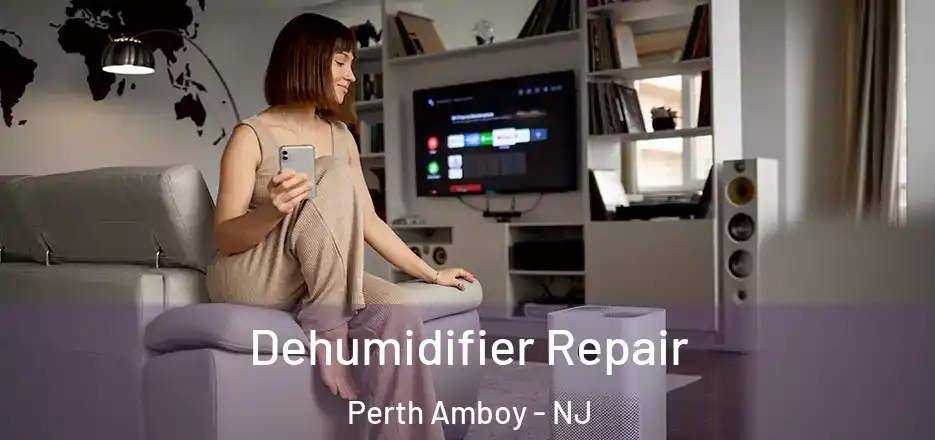  Dehumidifier Repair Perth Amboy - NJ